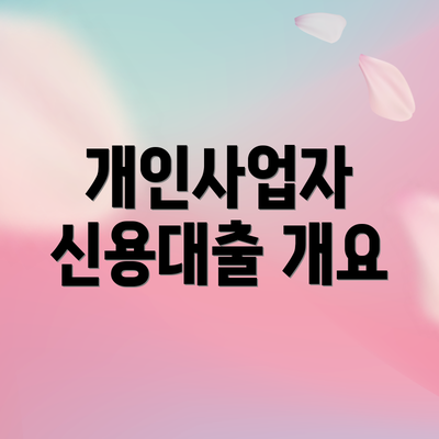 개인사업자 신용대출 개요