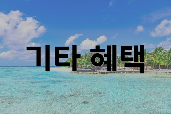 기타 혜택