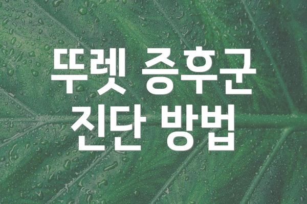 뚜렛 증후군 진단 방법