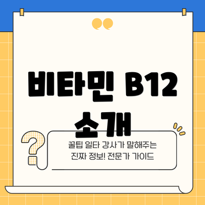 비타민 B12 소개