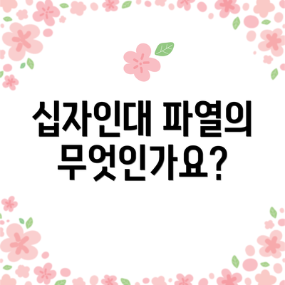 십자인대 파열의 무엇인가요?