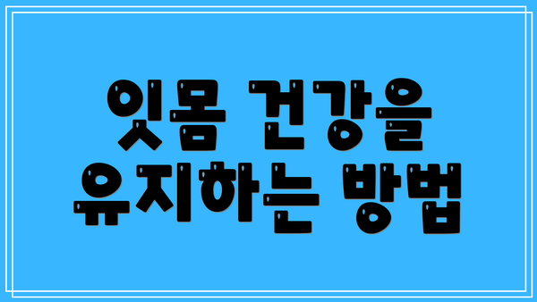잇몸 건강을 유지하는 방법