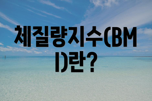 체질량지수(BMI)란?