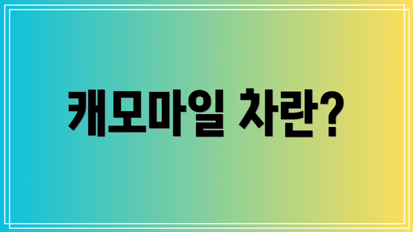 캐모마일 차란?