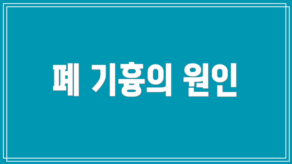 폐 기흉의 원인
