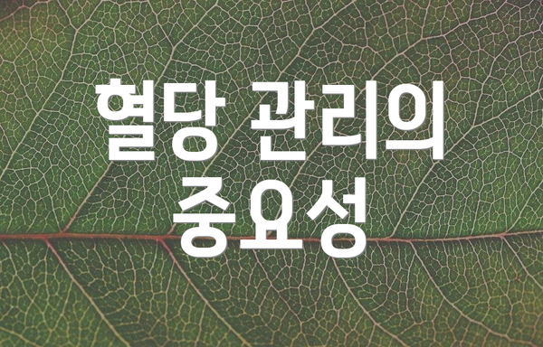 혈당 관리의 중요성