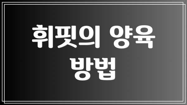 휘핏의 양육 방법