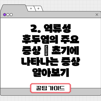 2. 역류성 후두염의 주요 증상 – 초기에 나타나는 증상 알아보기