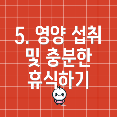 5. 영양 섭취 및 충분한 휴식하기
