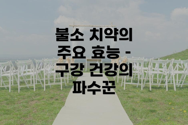 불소 치약의 주요 효능 – 구강 건강의 파수꾼