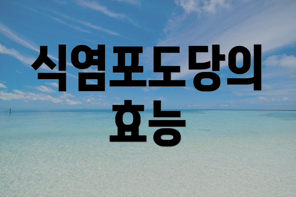 식염포도당의 효능