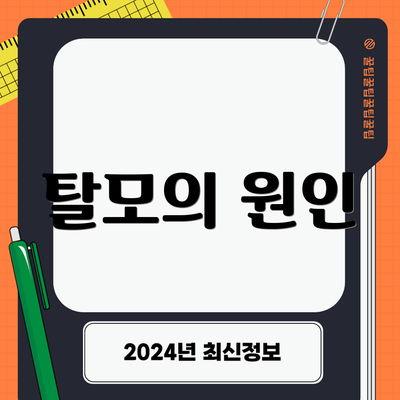 탈모의 원인