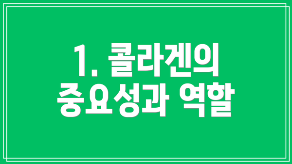 1. 콜라겐의 중요성과 역할