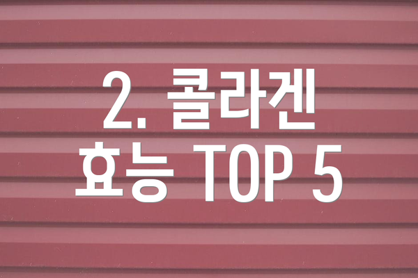 2. 콜라겐 효능 TOP 5