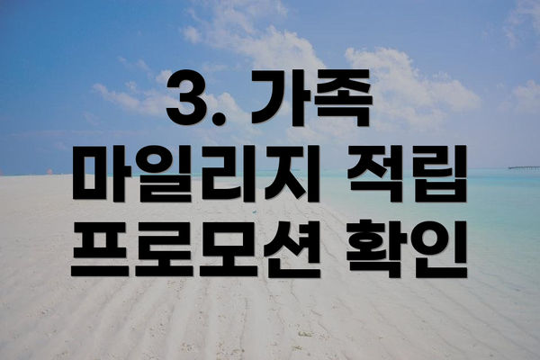 3. 가족 마일리지 적립 프로모션 확인
