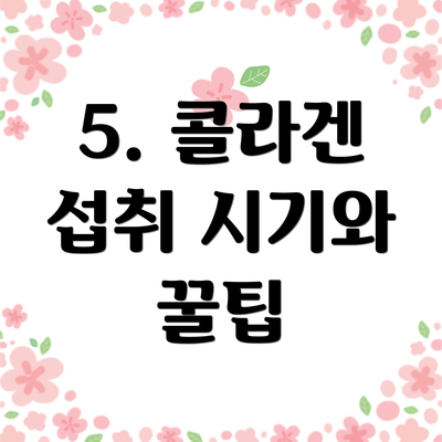 5. 콜라겐 섭취 시기와 꿀팁