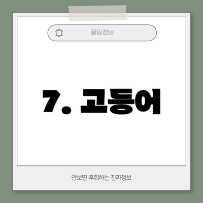 7. 고등어