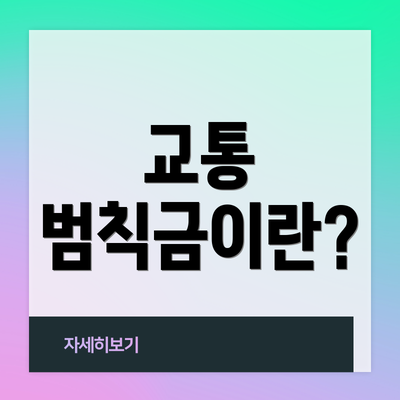 교통 범칙금이란?