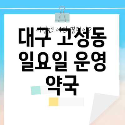 대구 고성동 일요일 운영 약국