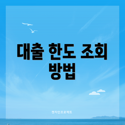 대출 한도 조회 방법