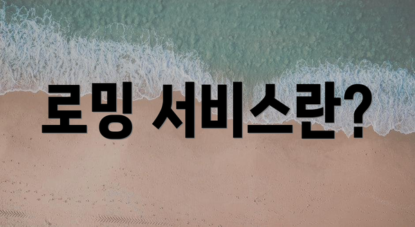 로밍 서비스란?
