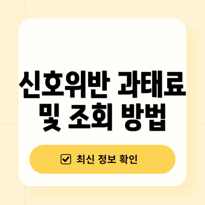 신호위반 과태료 및 조회 방법