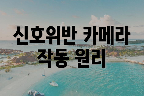 신호위반 카메라 작동 원리
