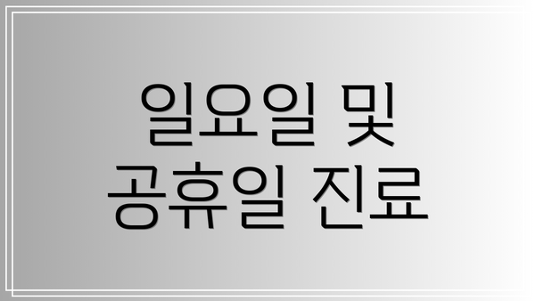 일요일 및 공휴일 진료