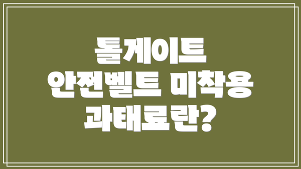 톨게이트 안전벨트 미착용 과태료 납부 방법