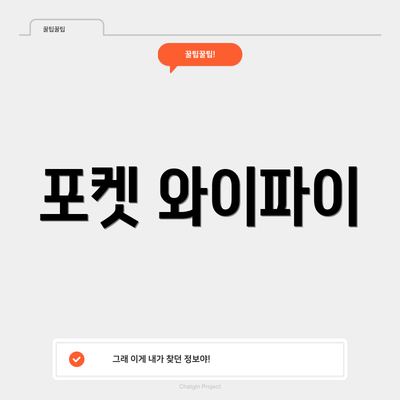 포켓 와이파이