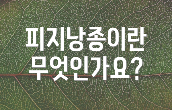 피지낭종이란 무엇인가요?