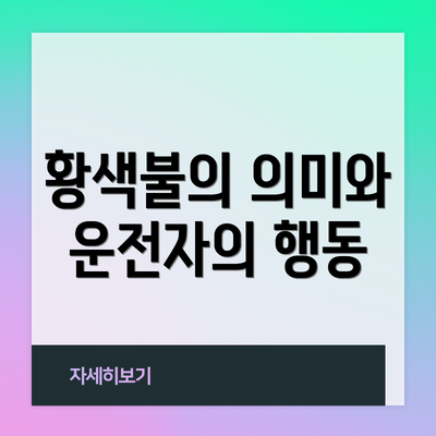 황색불의 의미와 운전자의 행동