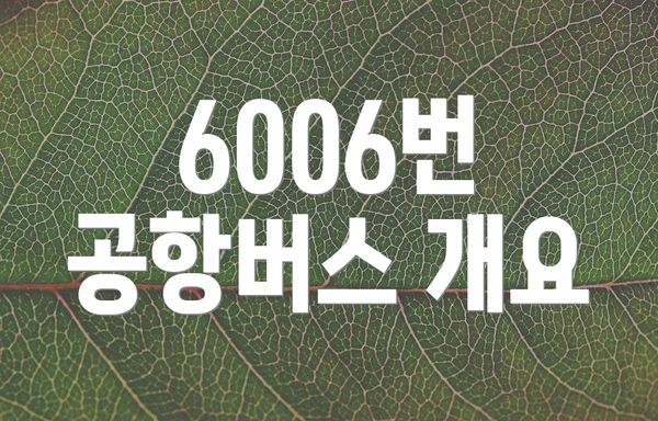 6006번 공항버스 개요