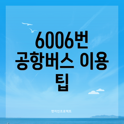 6006번 공항버스 이용 팁