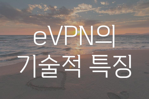 eVPN의 기술적 특징