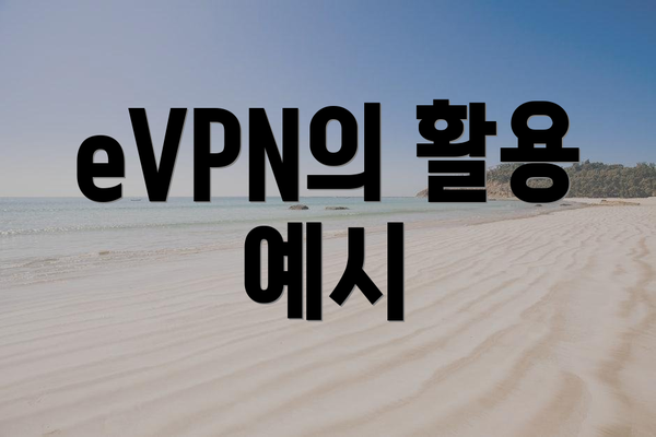 eVPN의 활용 예시