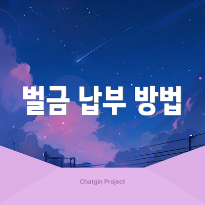 벌금 납부 방법