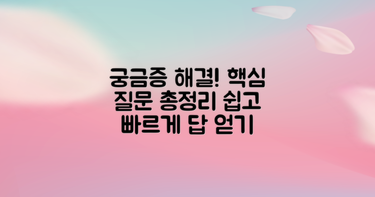 자주 묻는 질문