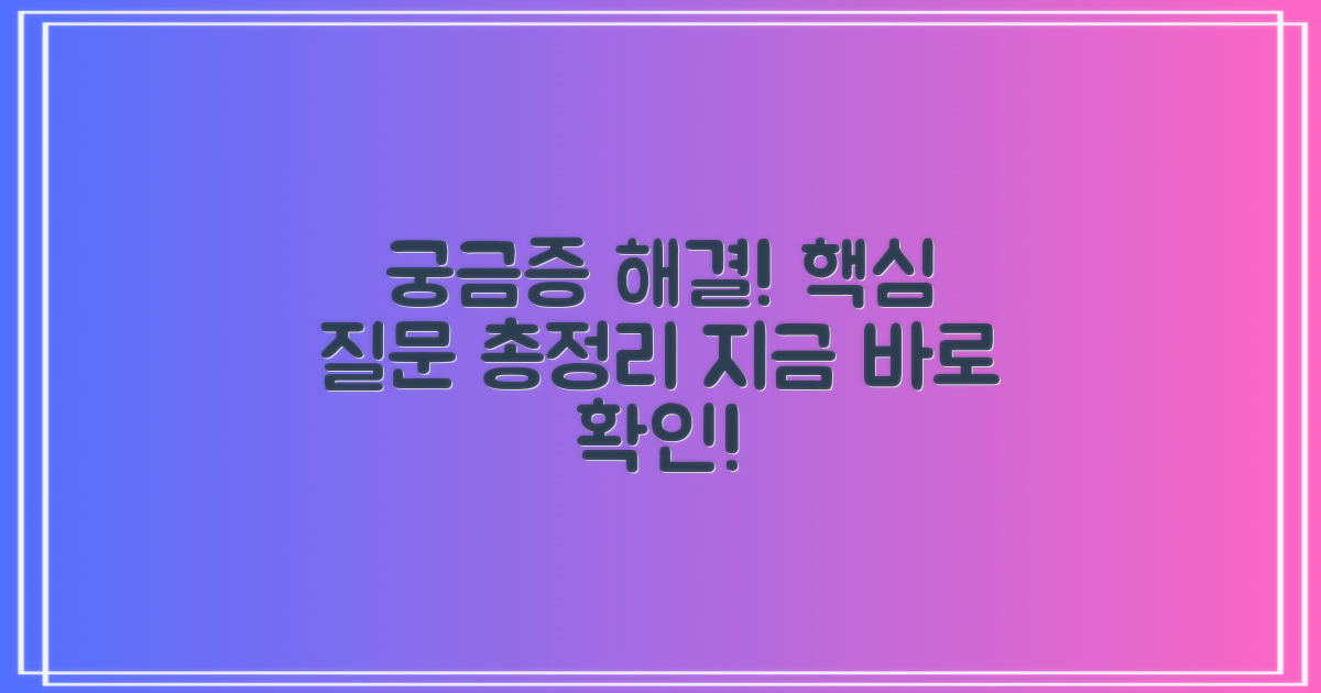 자주 묻는 질문